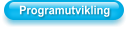 Programutvikling